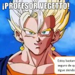 Las sabías enseñanzas del profesor Vegetto.