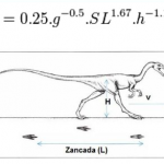 La huella del Movimiento: Dinosaurios y Humanos.