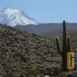 San Pedro de Atacama. Septiembre 2012 – Enero 2015.